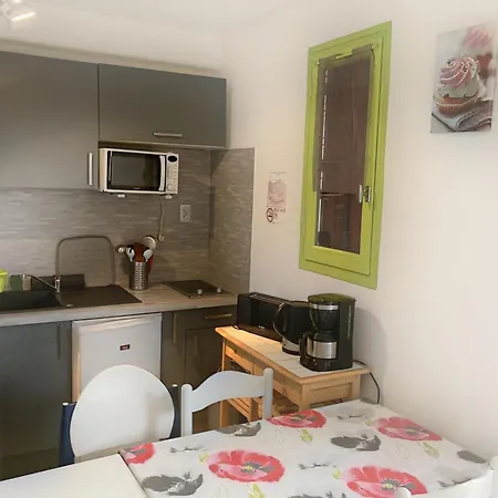 Apartman Dans Station Thermale, Dans Avec Ascenseur Amélie-les-Bains-Palalda